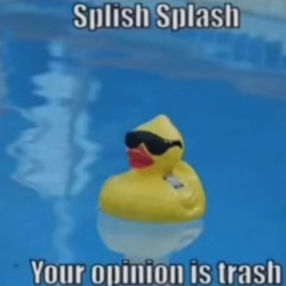 Meet your Posher, Donovan - Picture 1 of 1